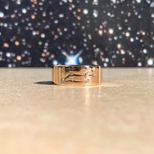 Sternenbilder - Löwe